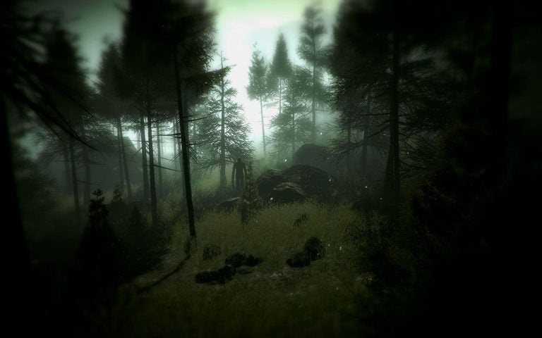 forestfog