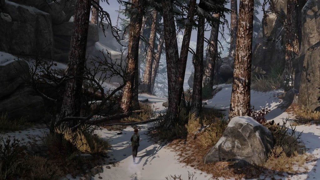 Ellie in winter landscape 1406594457