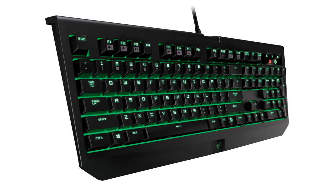 RZR BWU2016 AngledV02