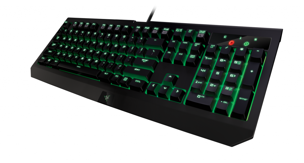 RZR BWU2016 AngledV03