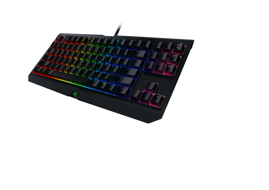 RZR BWTECV2 V02