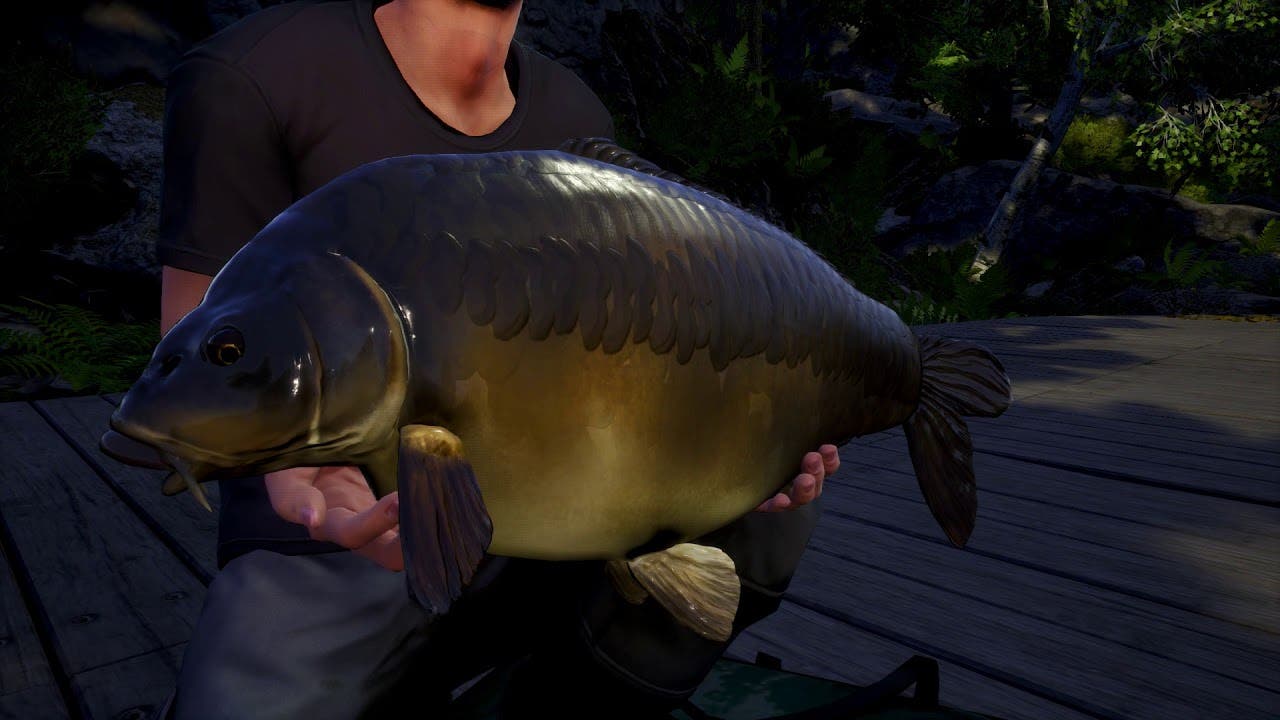 Moderne svale Begrænset Euro Fishing takes to Waldsee in latest DLC on PC, PS4, and Xbox One -  Saving Content