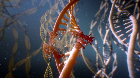 mutant year zero road to eden th