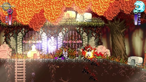 battle princess madelyn fights f