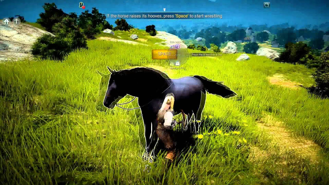 black desert online gets new tra