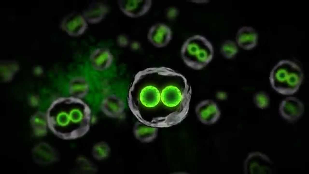 boid revealed ahead of gamescom