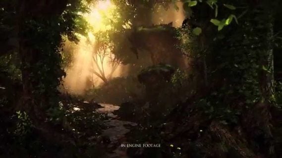 the bards tale iv in engine vide