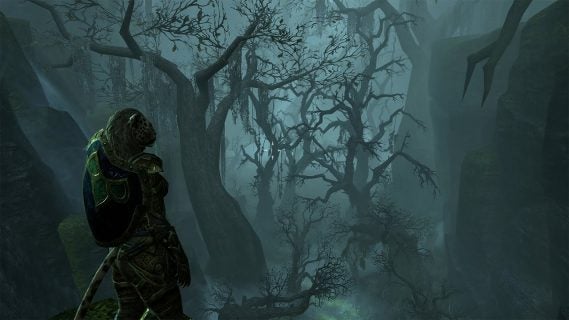 the elder scrolls online tamriel