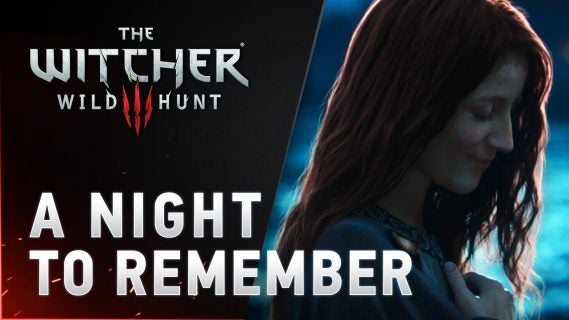 the witcher 3 wild hunt a night