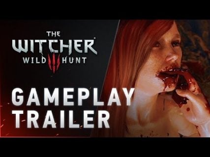 the witcher 3 wild hunt releases