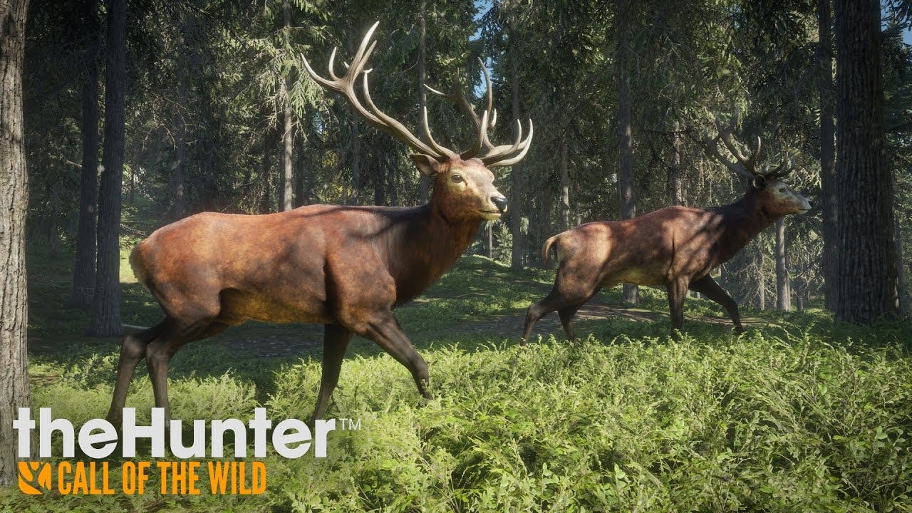 thehunter call of the wild takes
