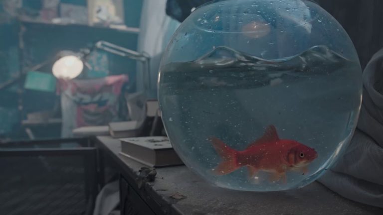 mxgp 2019 announced coming to pc