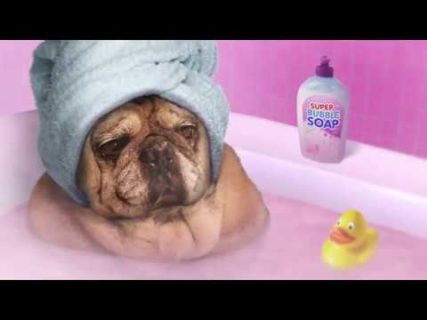 the jackbox party pack 6 has rel