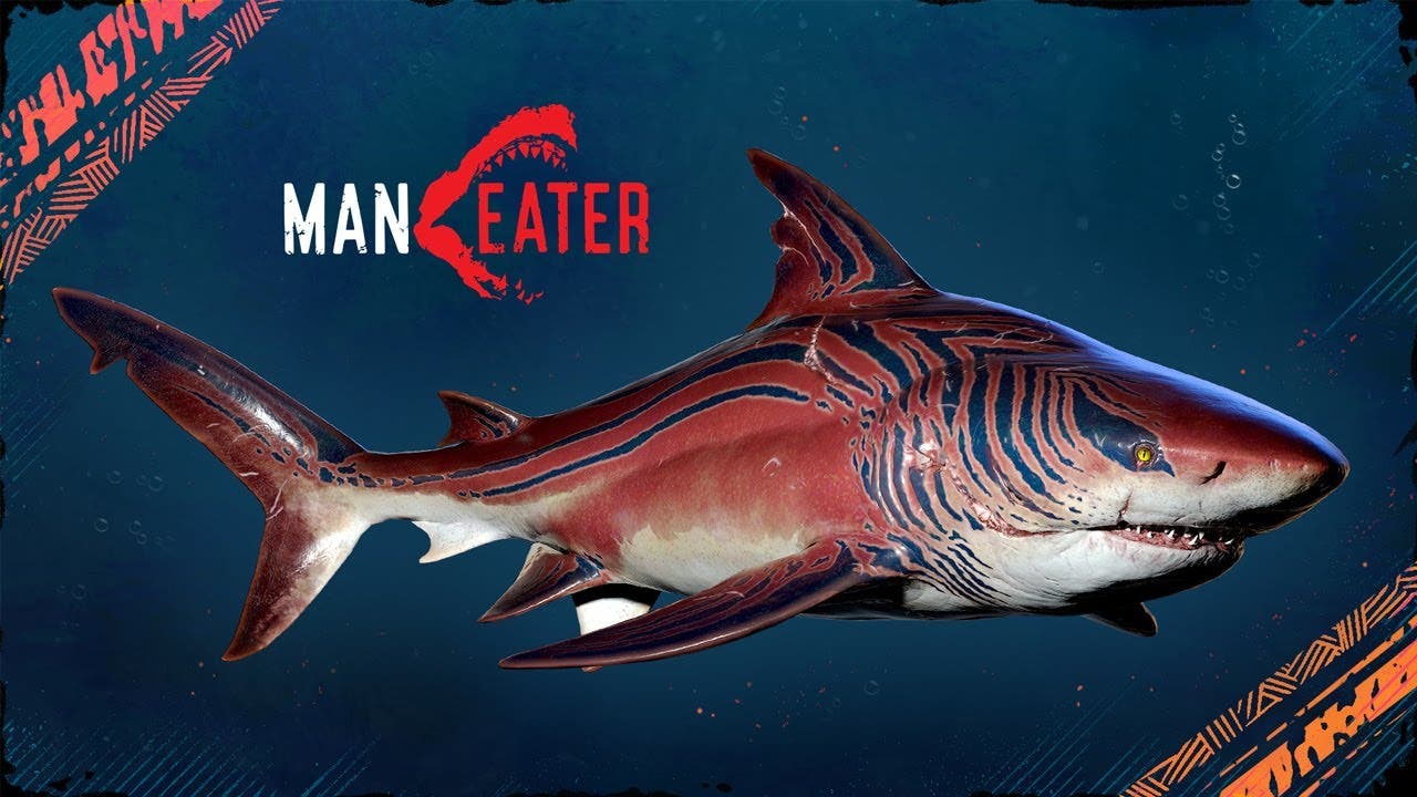 Shark RPG 'Maneater' Hits Steam, Xbox Game Pass, Switch on May 25