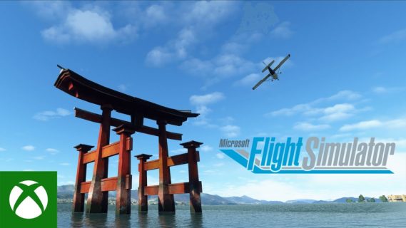 microsoft flight simulator recei 1