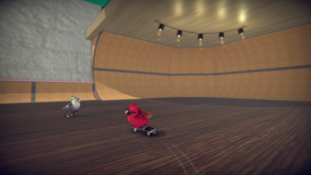 SkateBIRD review4