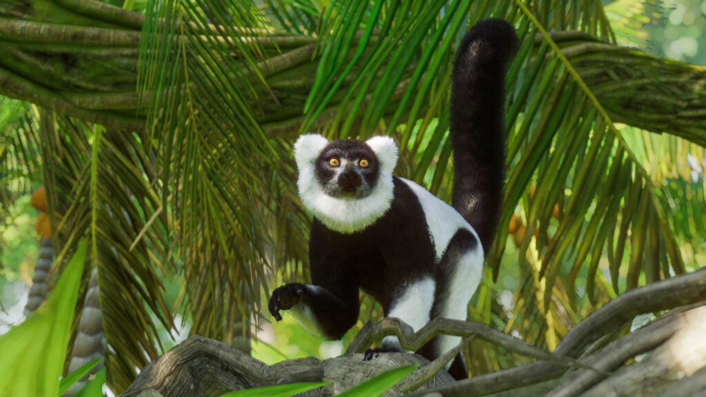 PZ Anniversary Screenshots Lemur 3 3840x2160 scaled