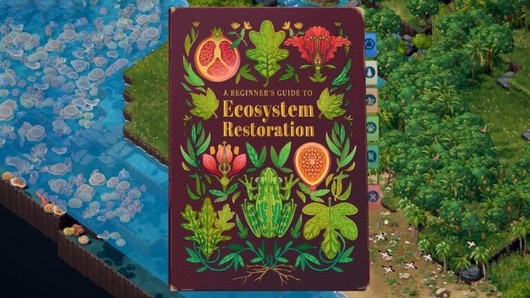 watch this beginners guide to le