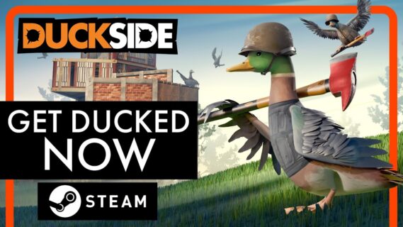 duckside the pvpve from tinybuil