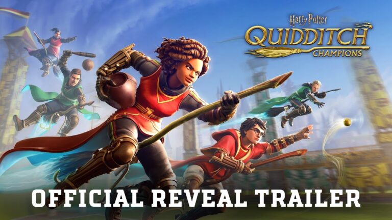 there was no quidditch in hogwar