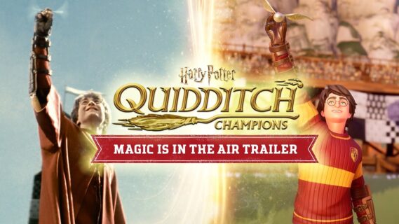 harry potter quidditch champions