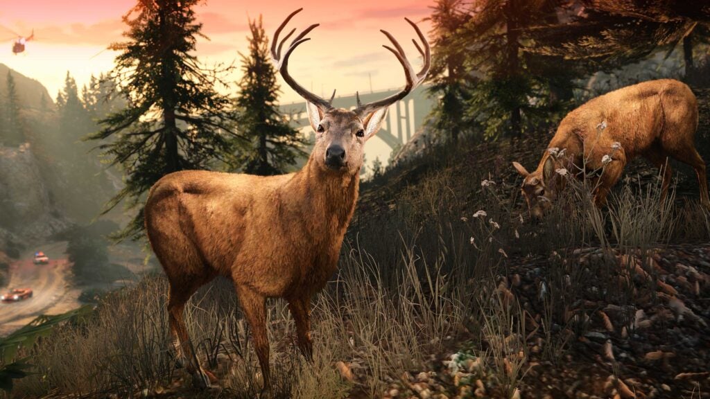 GTA Online Wildlife