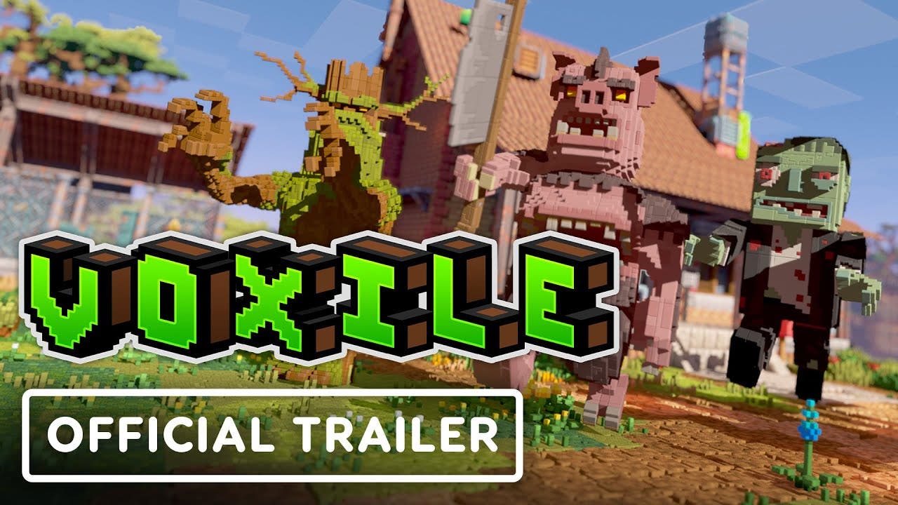 voxile and its ray traced