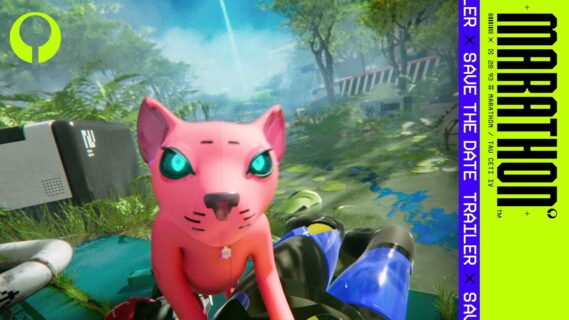 bungie asks you to save the date