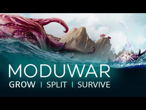 moduwar the adaptive organic rts