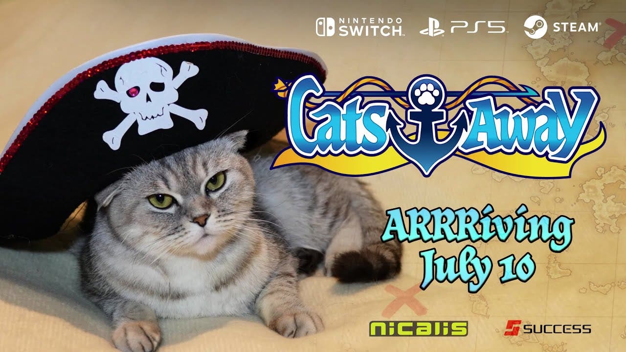 cats away a feline real time tac