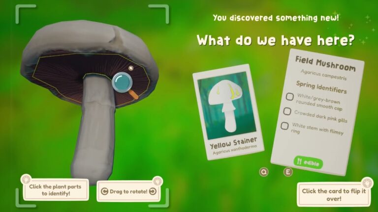 identify and gather real life pl