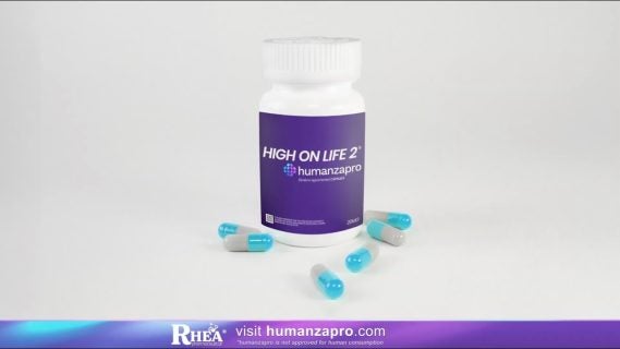 high on life 2 pre orders are li